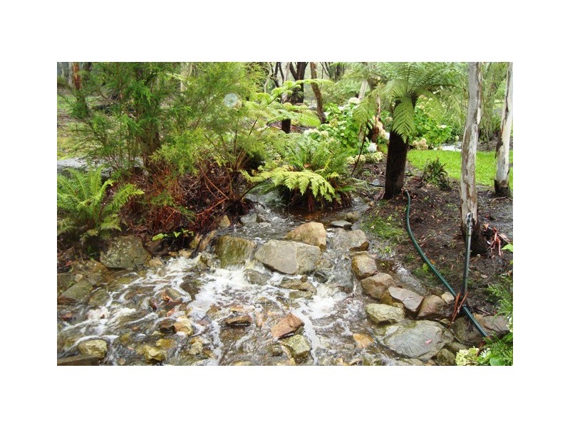 Colo Vale NSW 2575