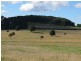 Robertson NSW 2577