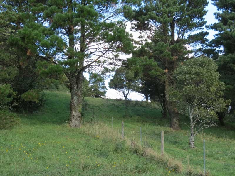Robertson NSW 2577
