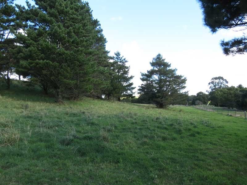 Robertson NSW 2577