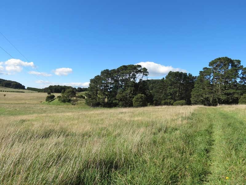 Robertson NSW 2577