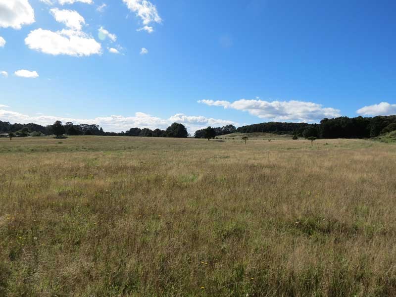 Robertson NSW 2577