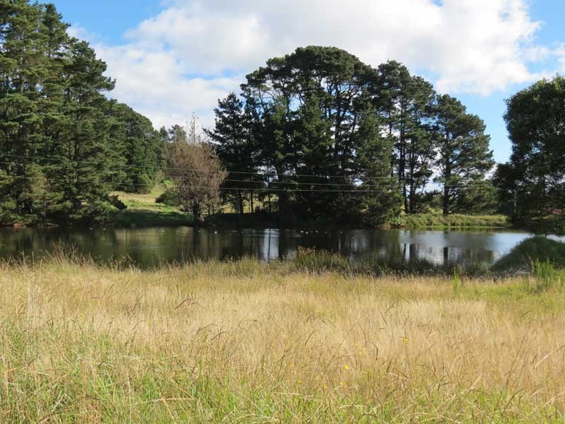 Robertson NSW 2577