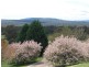Glenquarry NSW 2576