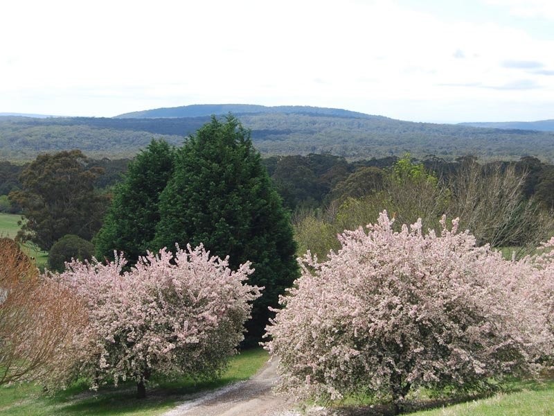 Glenquarry NSW 2576