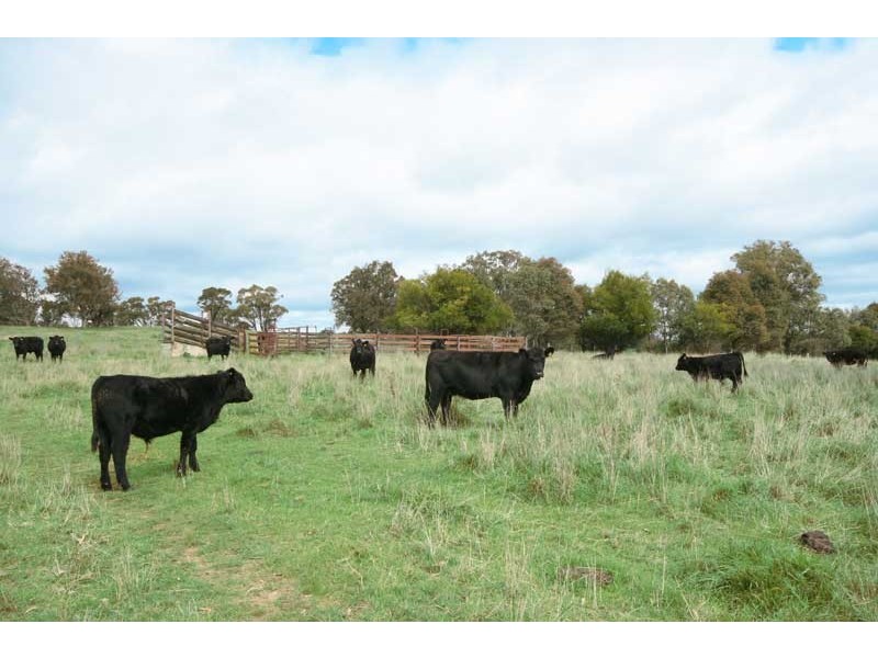 Sutton Forest NSW 2577