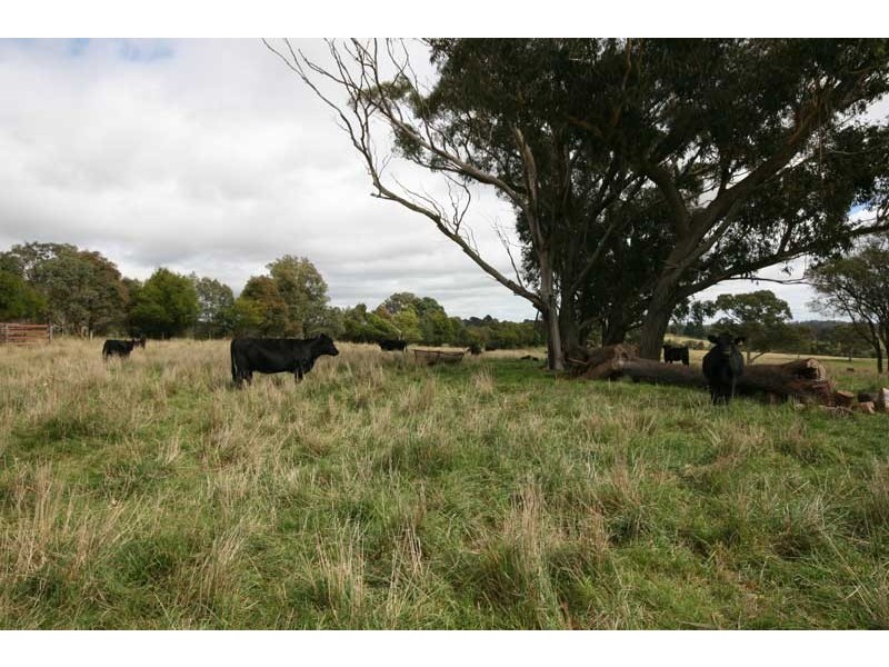 Sutton Forest NSW 2577