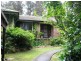 Willow Vale NSW 2575