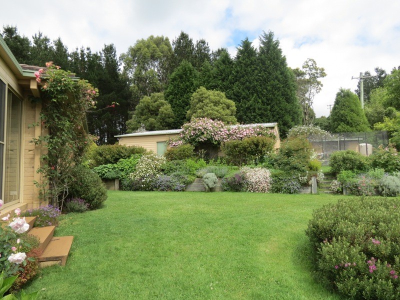 Robertson NSW 2577