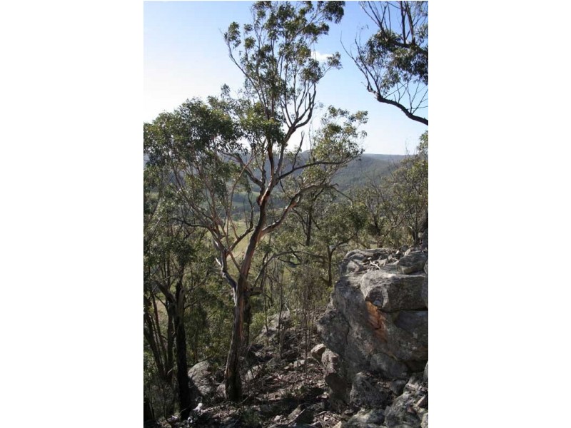 Joadja NSW 2575
