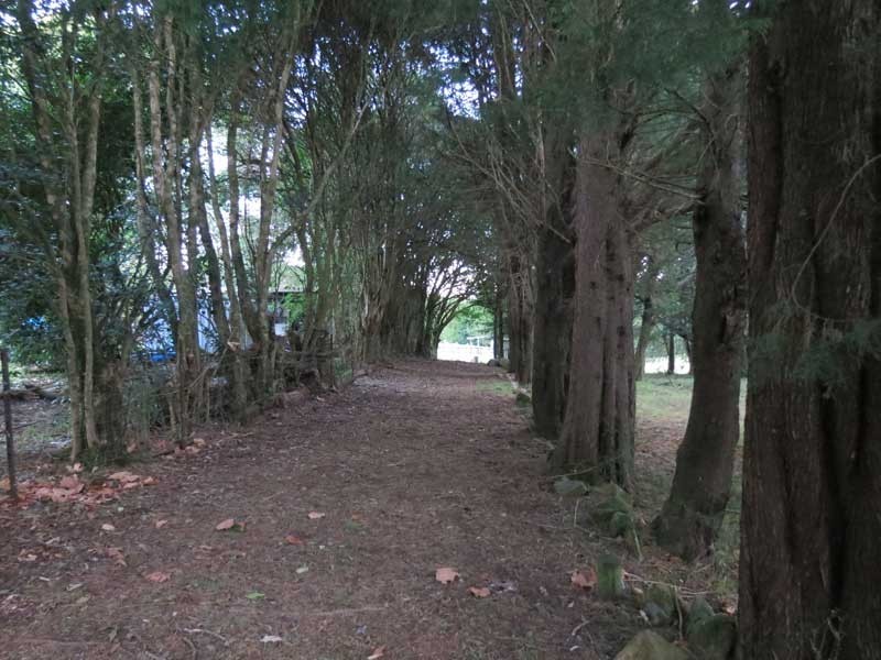 Robertson NSW 2577