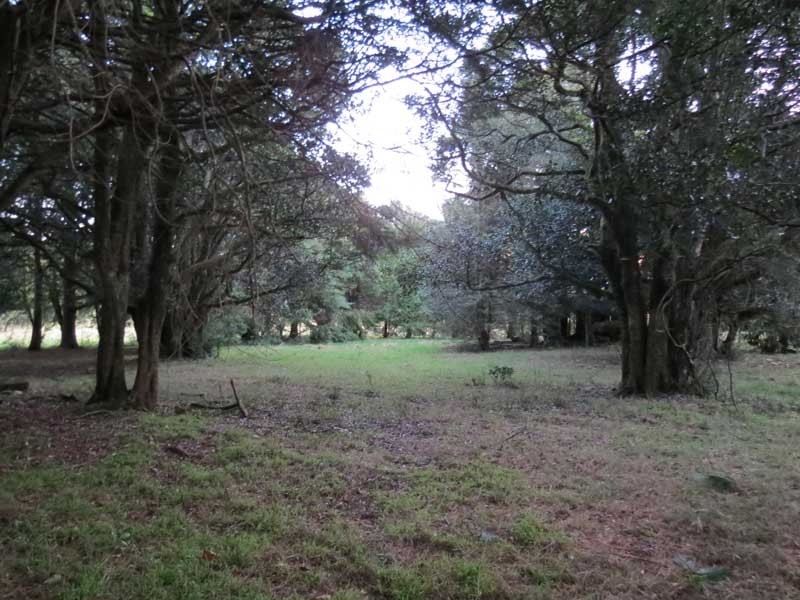Robertson NSW 2577
