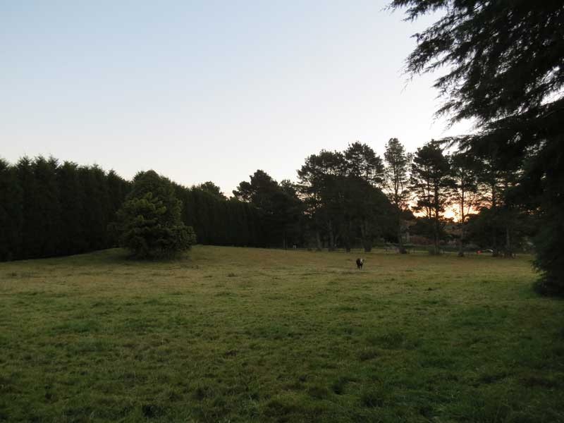 Robertson NSW 2577