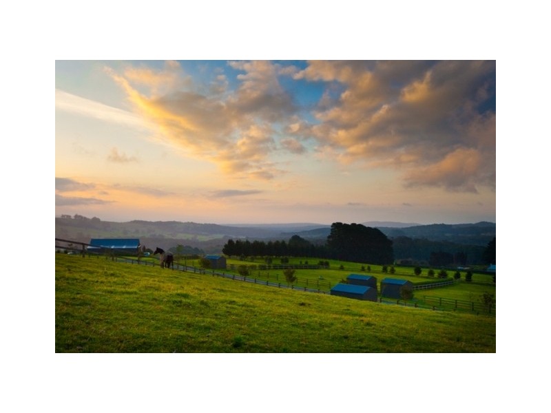 Kangaloon NSW 2576