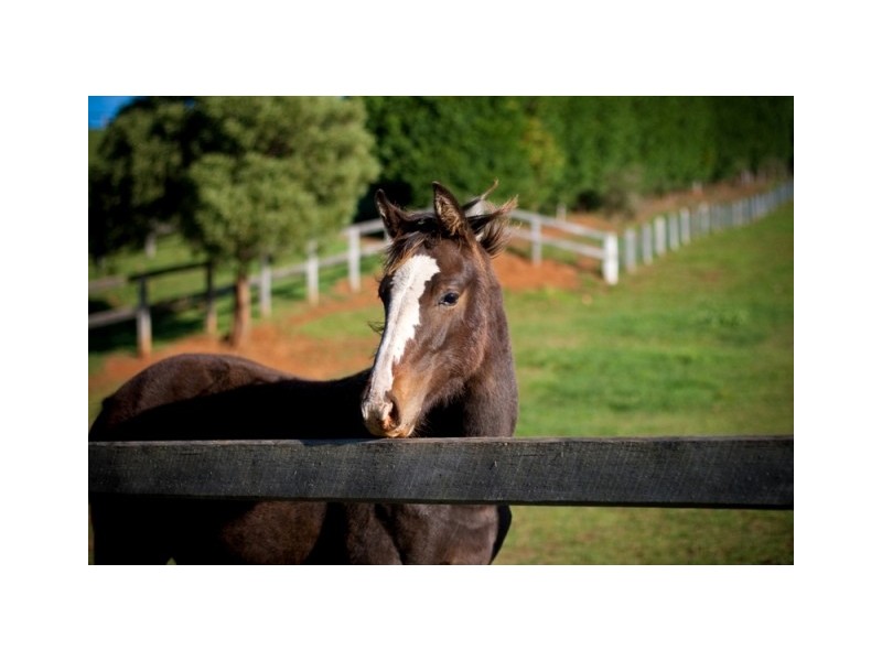 Kangaloon NSW 2576