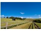 Kangaloon NSW 2576