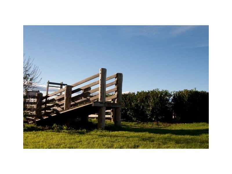 Kangaloon NSW 2576