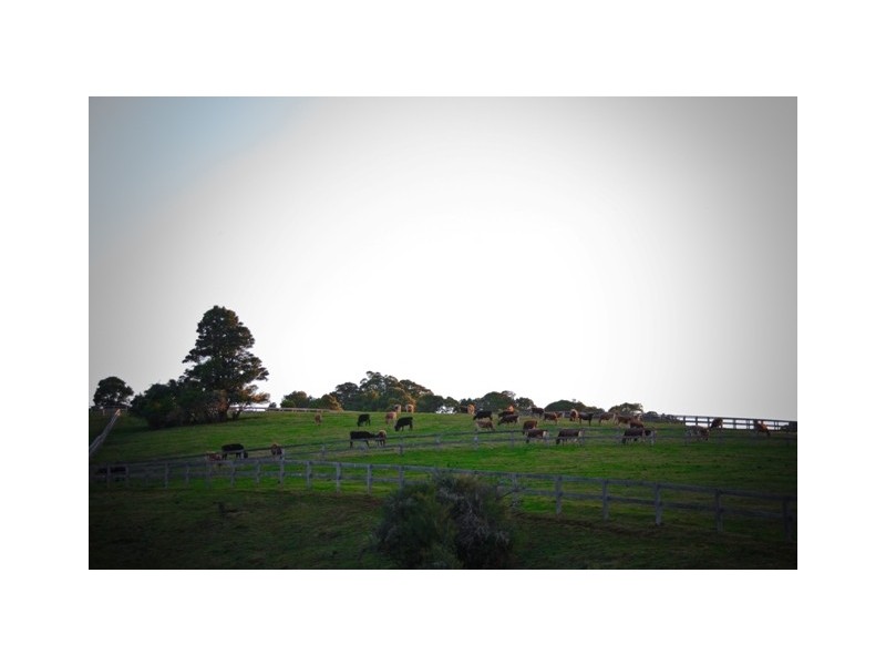 Kangaloon NSW 2576