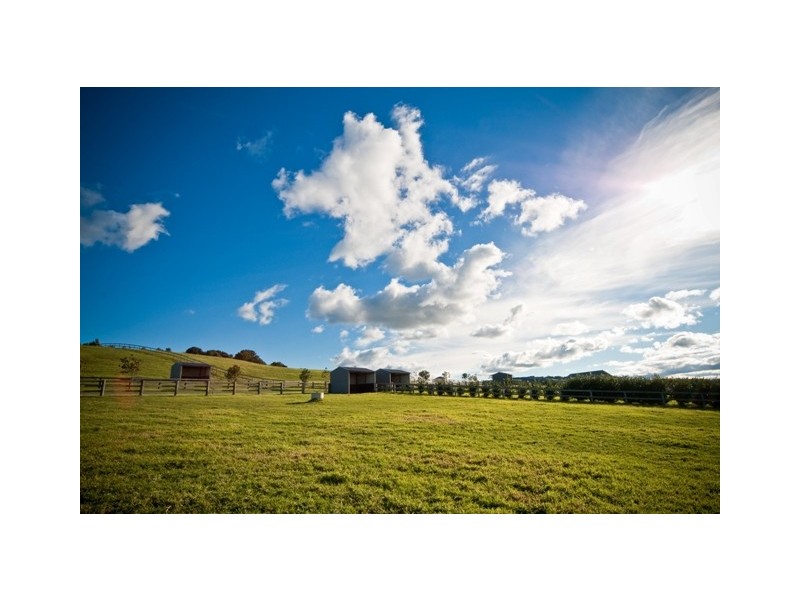 Kangaloon NSW 2576