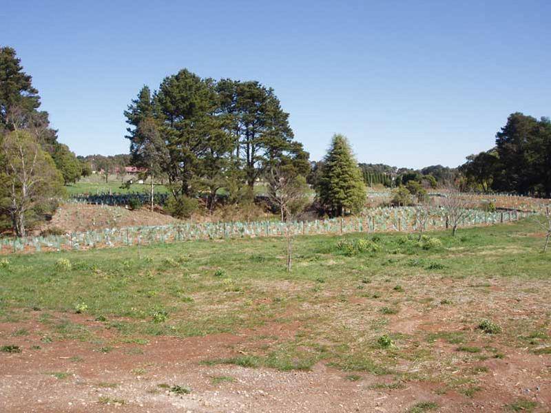 Robertson NSW 2577