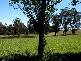 Alpine NSW 2575