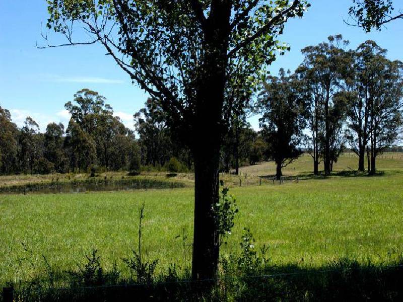 Alpine NSW 2575
