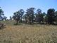 Sutton Forest NSW 2577