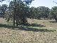 Sutton Forest NSW 2577
