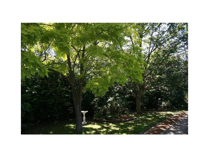 Willow Vale NSW 2575