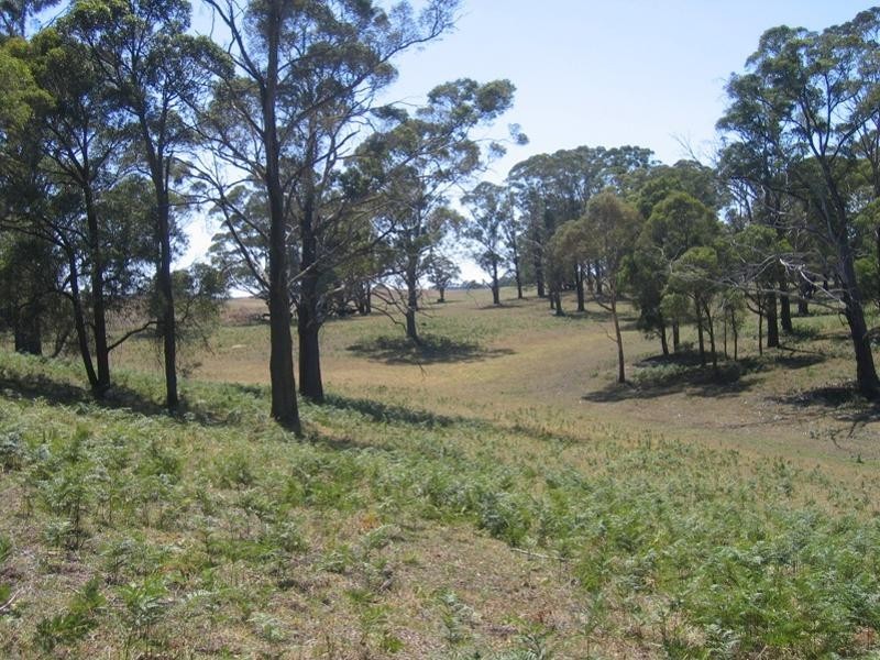 Sutton Forest NSW 2577
