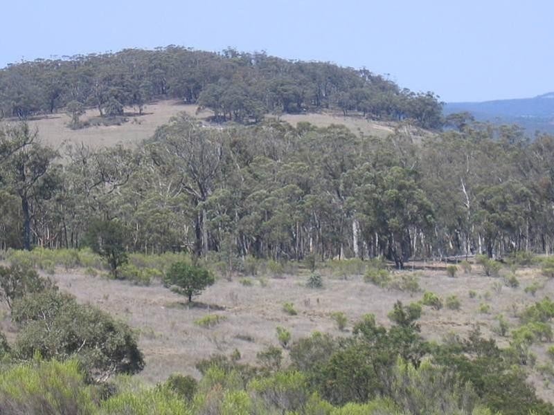 Marulan NSW 2579