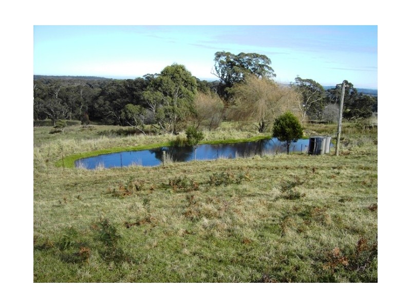 Avoca NSW 2577