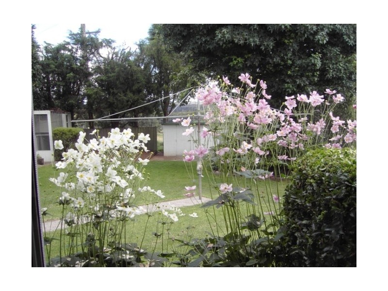 Avoca NSW 2577