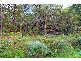 33  Azalea, Colo Vale NSW 2575