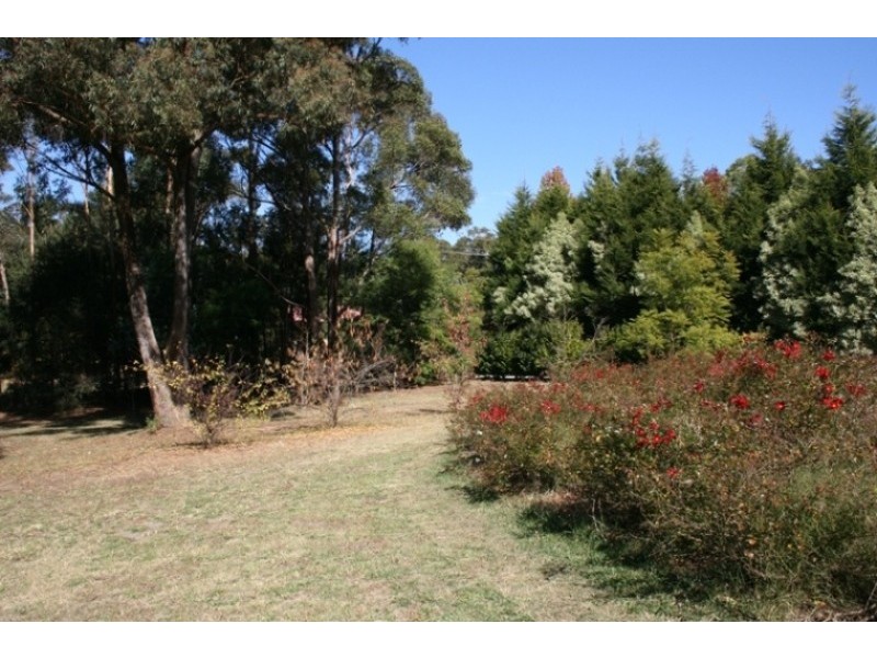 Willow Vale NSW 2575