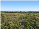 Marulan NSW 2579