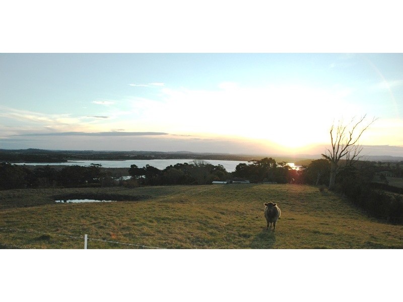 Kangaloon NSW 2576