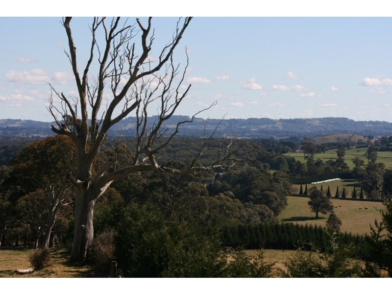 Kangaloon NSW 2576