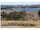 Kangaloon NSW 2576