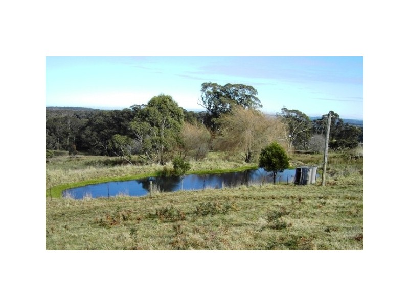 Avoca NSW 2577