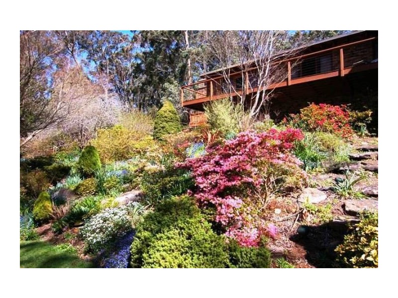 Mittagong NSW 2575