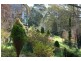 Mittagong NSW 2575