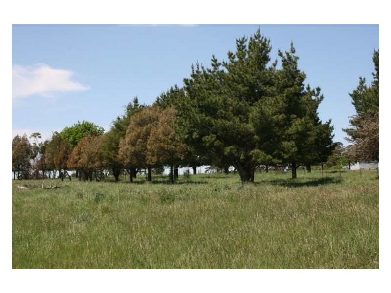 Lot 1 Oldbury Rd, Sutton Forest NSW 2577