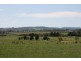 Lot 2 Oldbury Rd, Sutton Forest NSW 2577