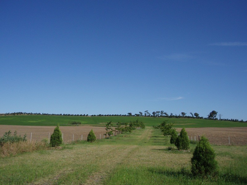 Sutton Forest NSW 2577