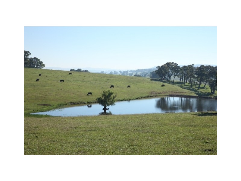 Sutton Forest NSW 2577