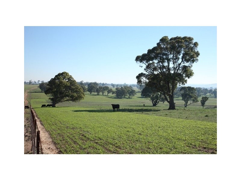 Sutton Forest NSW 2577