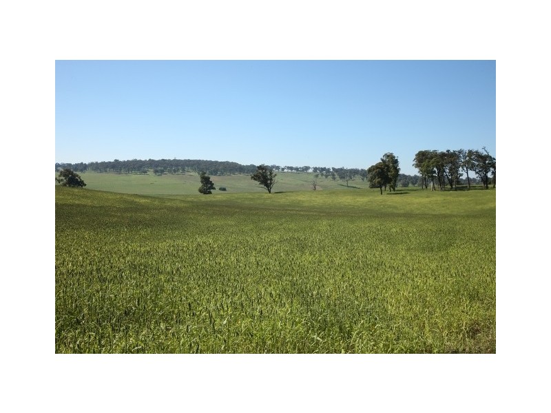 Sutton Forest NSW 2577