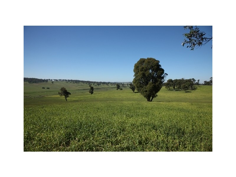 Sutton Forest NSW 2577