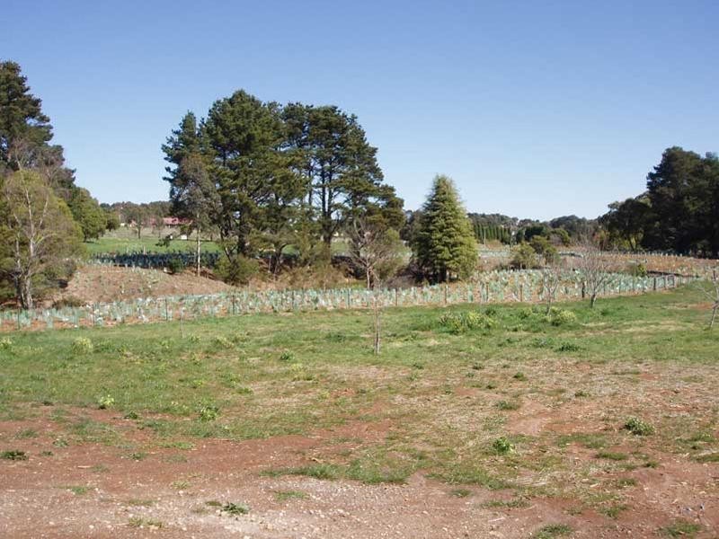 Robertson NSW 2577